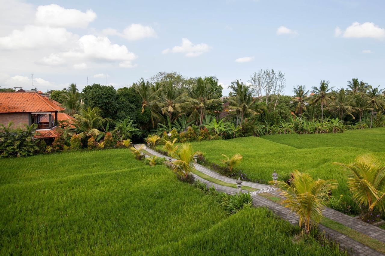 Kama Bisma Cottage Ubud Eksteriør billede